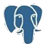 PostgreSQL icon